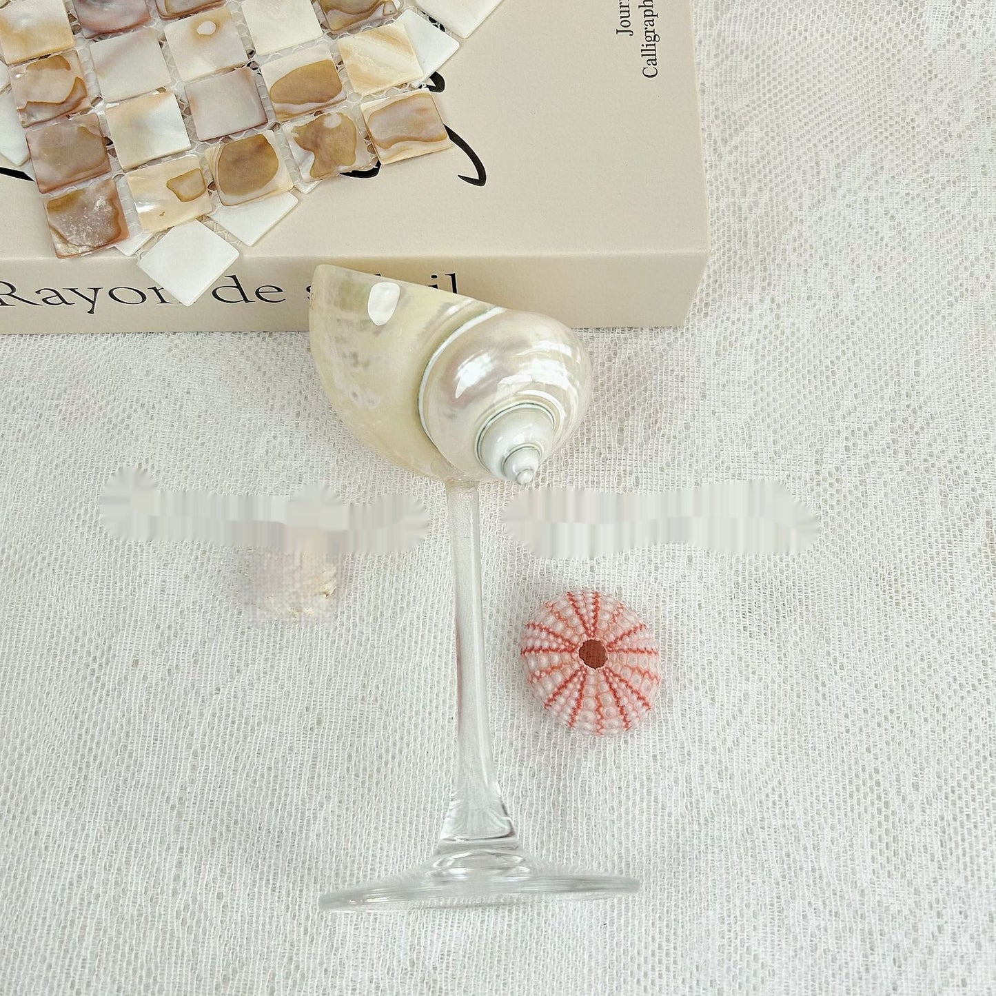 Ins Handmade Shell Conch Wine Glass Aromatherapy Dish-World Bazaar Life