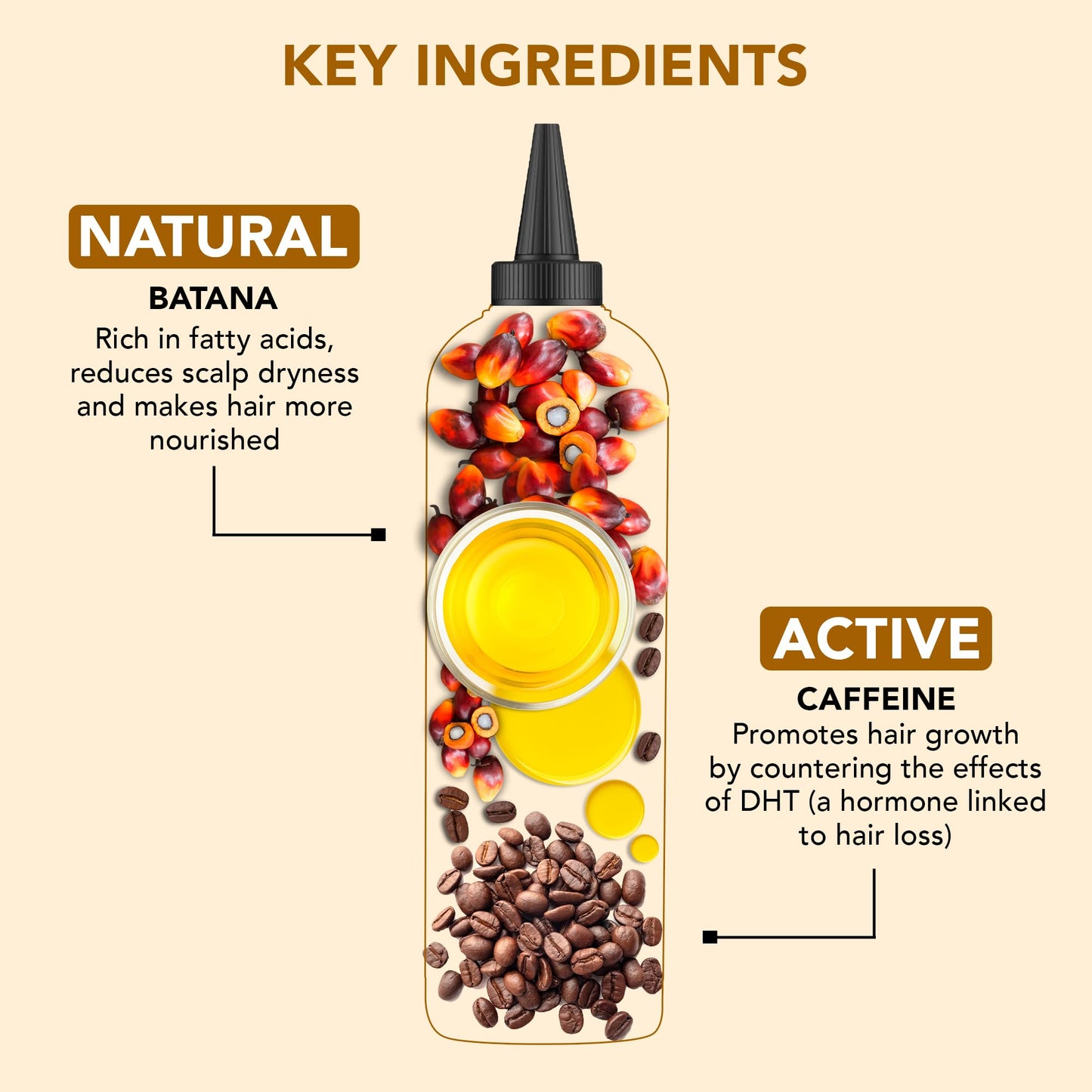 Botanic Hearth 100% Pure Rosemary Oil For Hair Growth (6.7 fl oz) Infused With Biotin, Jojoba & castor Oil | Nourishing & Volumizing | Non GMO Verified