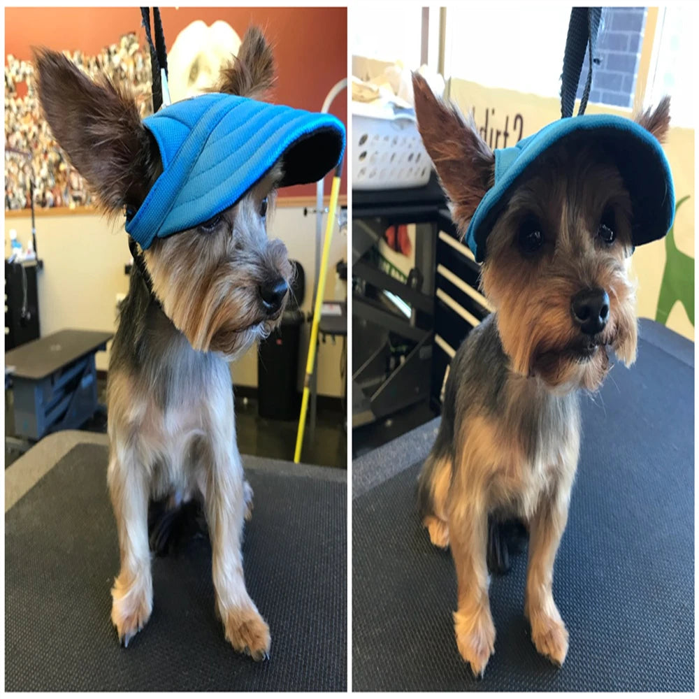 CutePaws Adjustable Dog Baseball Hat with Ear Holes for Small Pets-World Bazaar Life