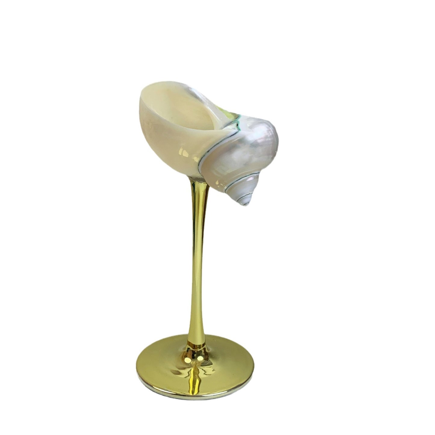 Ins Handmade Shell Conch Wine Glass Aromatherapy Dish-World Bazaar Life