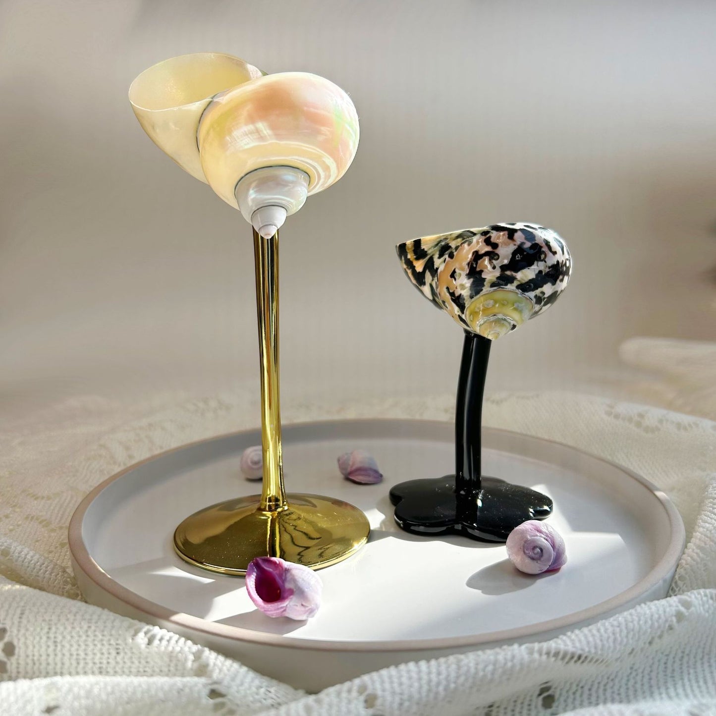 Ins Handmade Shell Conch Wine Glass Aromatherapy Dish-World Bazaar Life