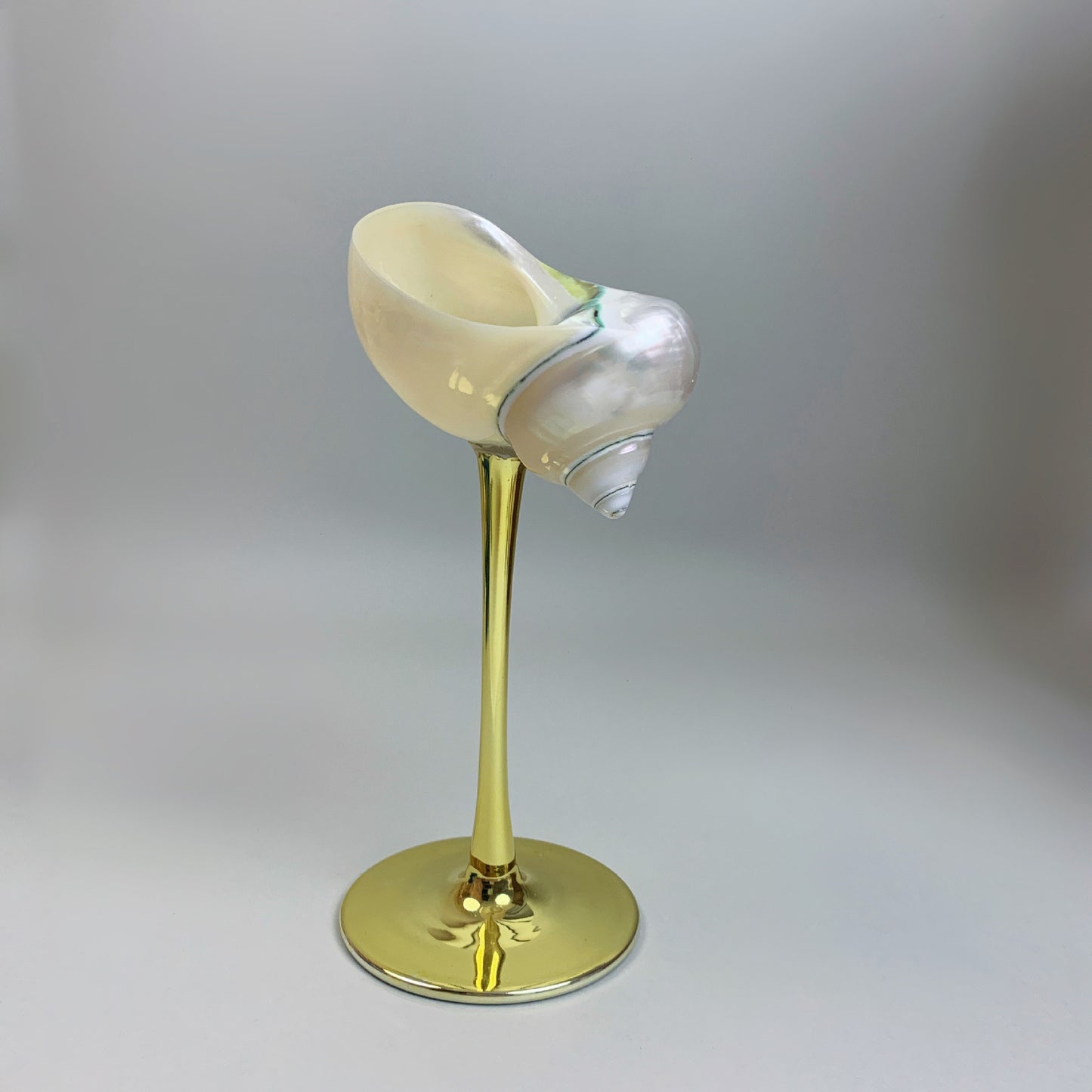 Ins Handmade Shell Conch Wine Glass Aromatherapy Dish-World Bazaar Life