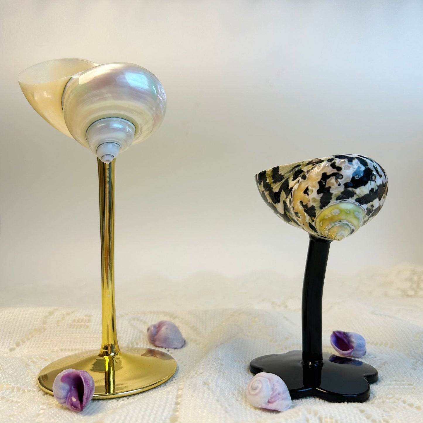 Ins Handmade Shell Conch Wine Glass Aromatherapy Dish-World Bazaar Life