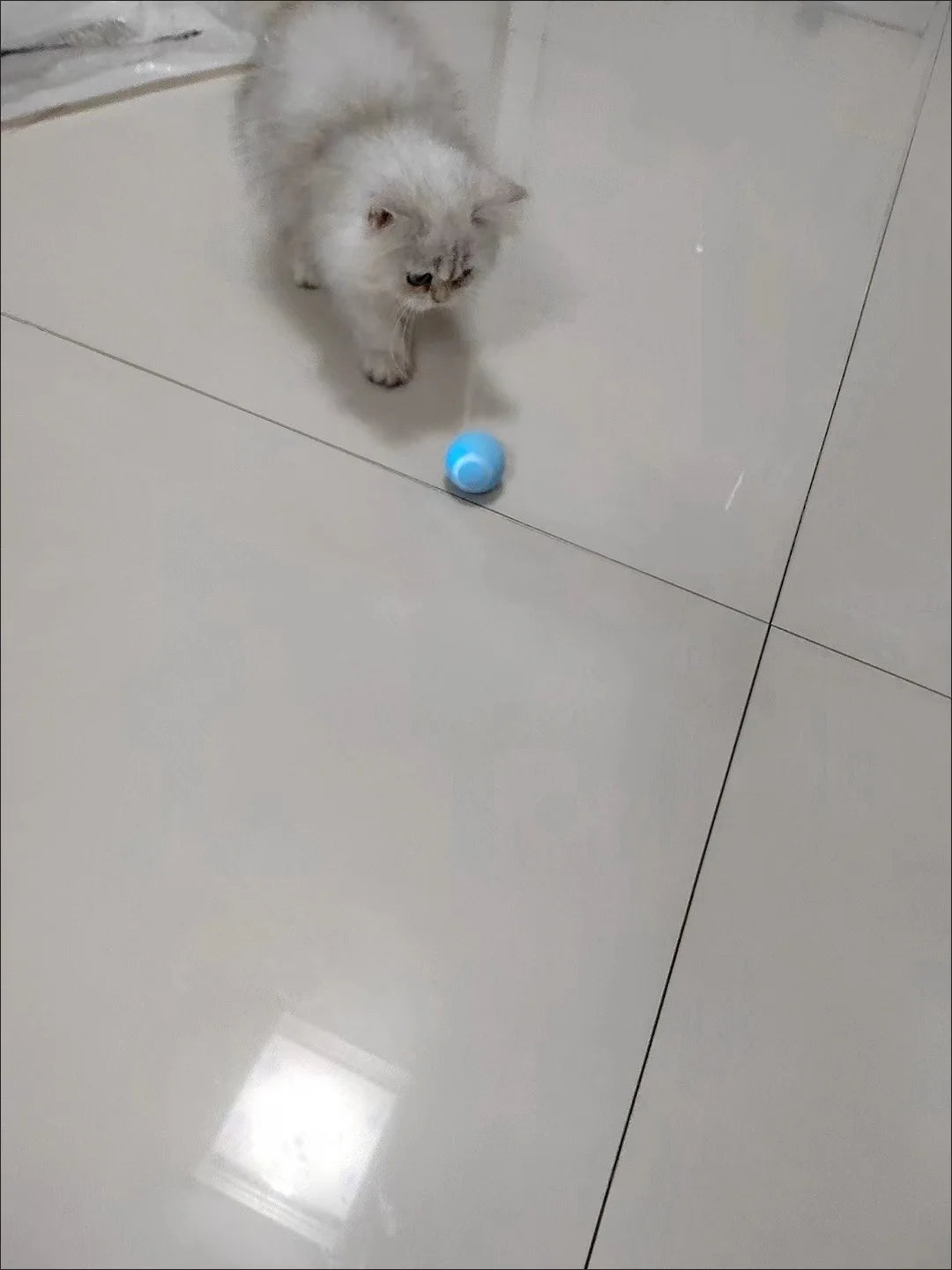Cat Interactive Ball Smart Pet Cat Toys Indoor Automatic Rolling Magic Ball Electronic Interactive Cat Toy Cat Game Accessories-World Bazaar Life