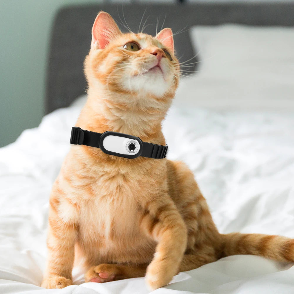 Sport Action Camera HD 1080P Wireless Collar Camera No WiFi Needed Dog Cat Pet Collar Camera Video Recorder for Indoor/Outdoor