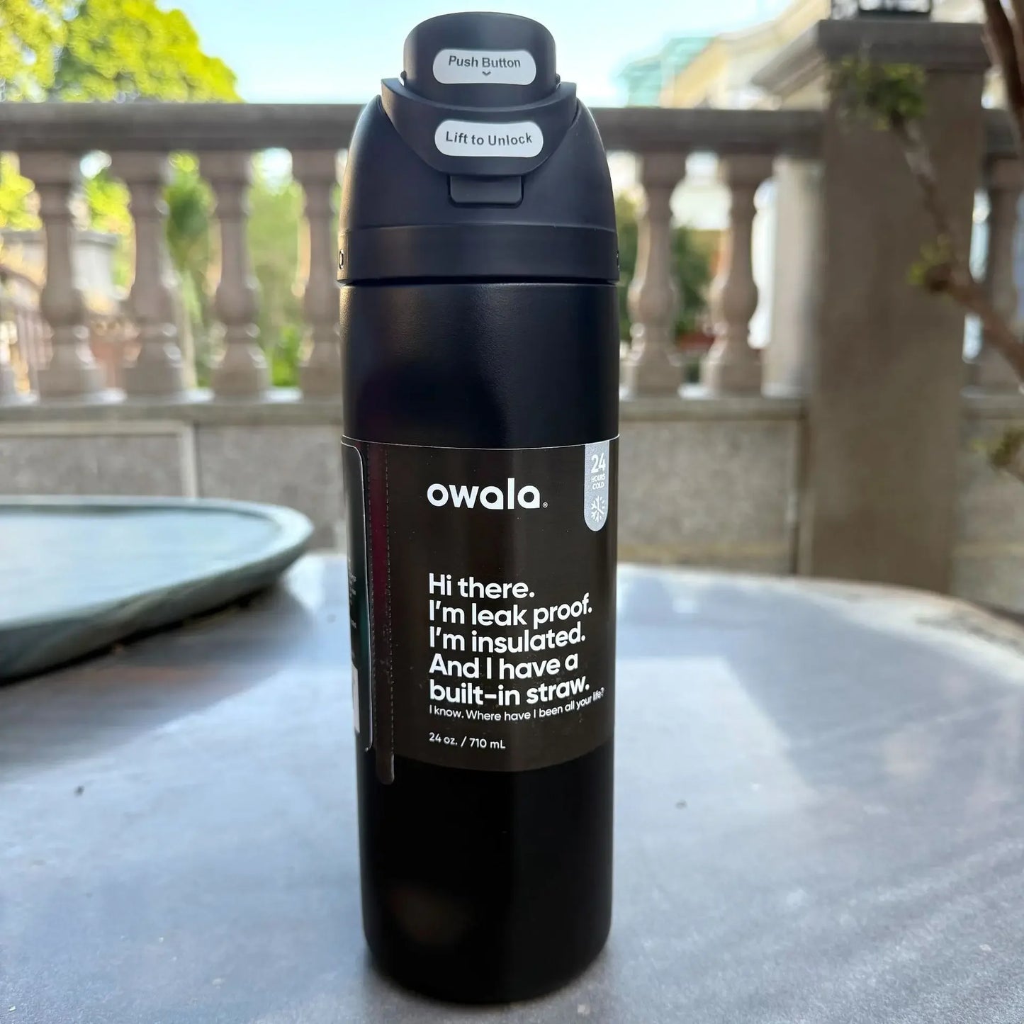 32 Oz Insulated Stainless Steel Cup Water Bottle with Straw, BPA-Free Sports Water Bottle, Great for Travel-World Bazaar Life