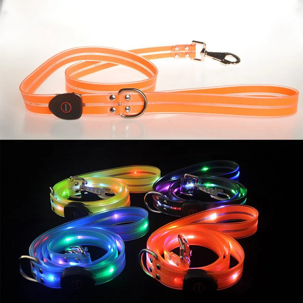 Pet Dog LED Light UP Leash USB Rechargeable PVC With Webbing Glowing Pet Leash Light Up Puppy Dog Night Walking No Collar-World Bazaar Life