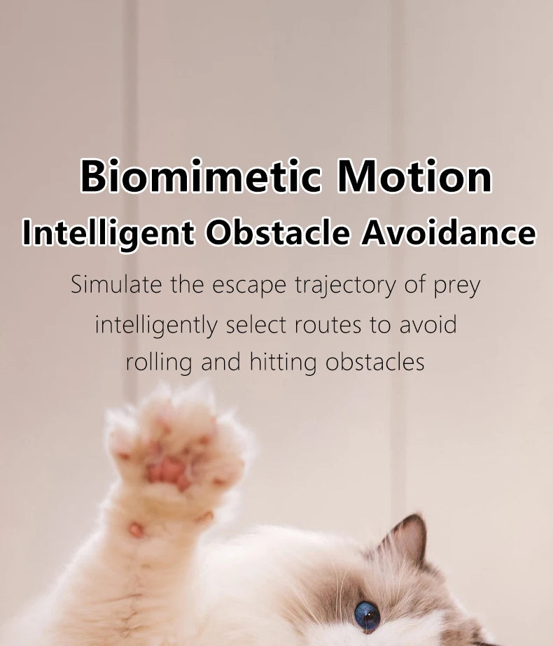 Cat Interactive Ball Smart Pet Cat Toys Indoor Automatic Rolling Magic Ball Electronic Interactive Cat Toy Cat Game Accessories-World Bazaar Life
