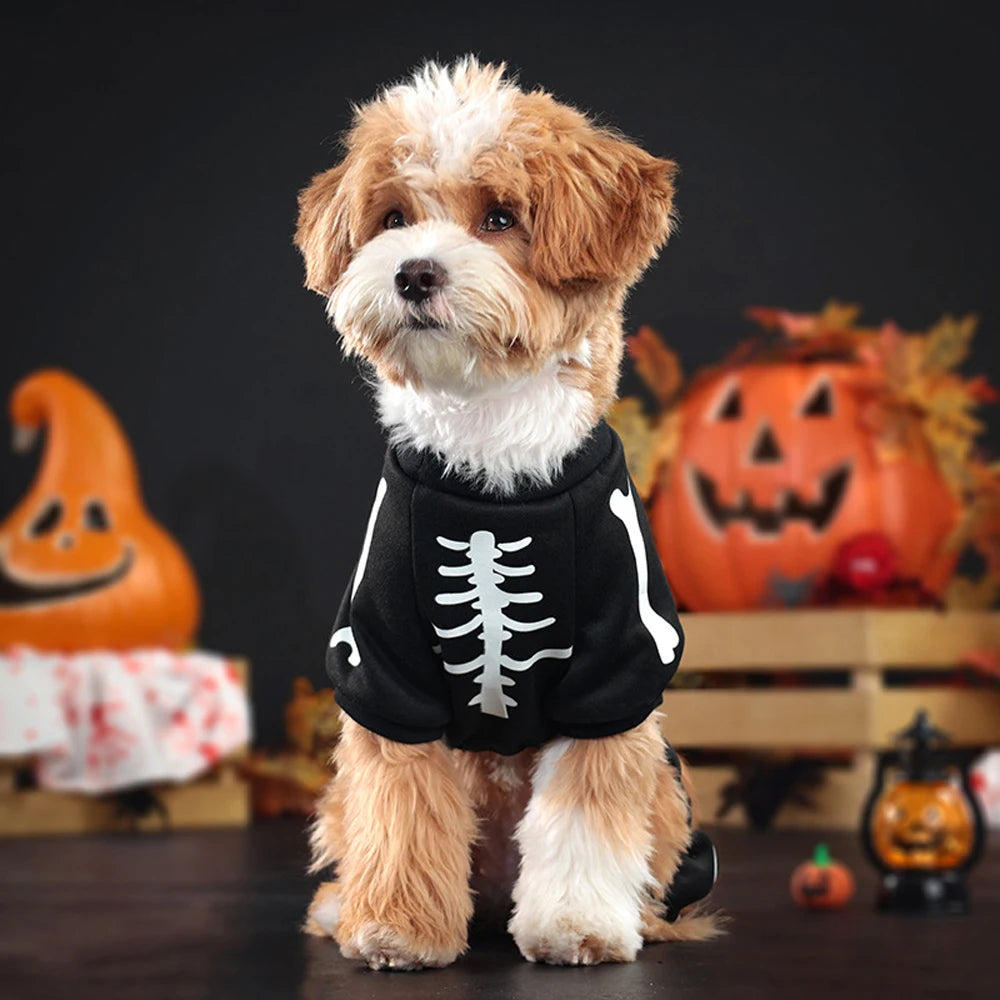 Fluorescence Pet Skeleton Costume Skeleton Jumpsuit for Small Medium Dogs Funny Halloween Outfit for Puppy Cosplay Prop Apparel-World Bazaar Life