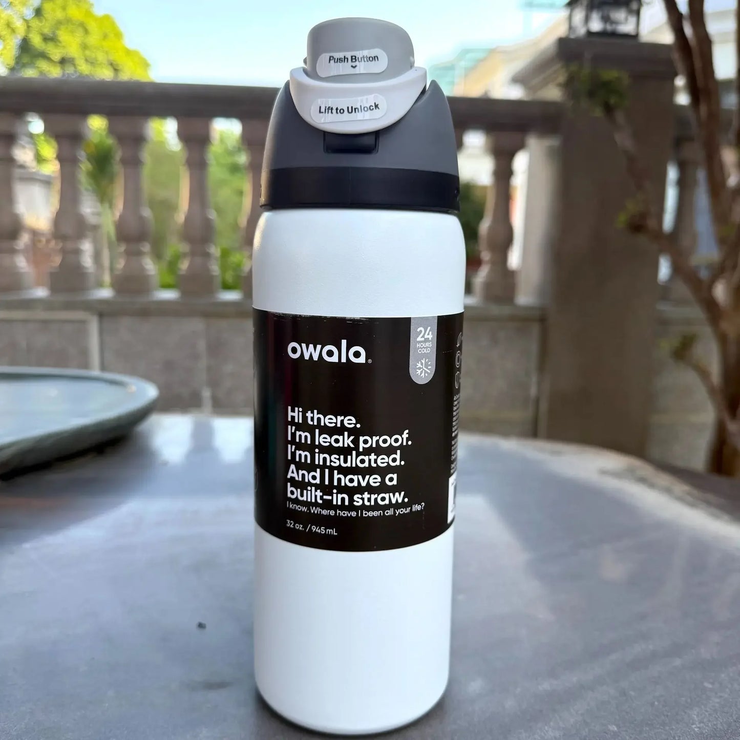 32 Oz Insulated Stainless Steel Cup Water Bottle with Straw, BPA-Free Sports Water Bottle, Great for Travel-World Bazaar Life