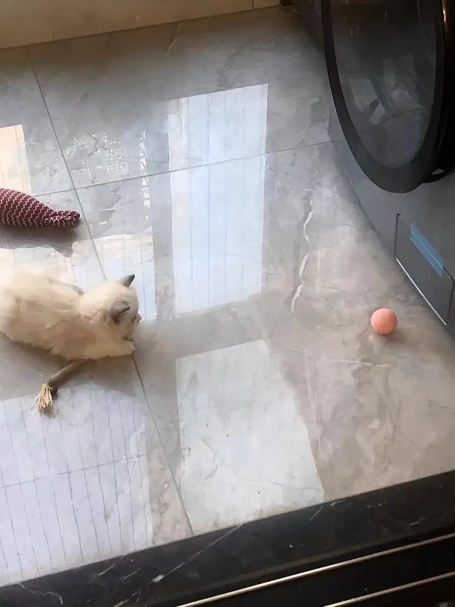 Cat Interactive Ball Smart Pet Cat Toys Indoor Automatic Rolling Magic Ball Electronic Interactive Cat Toy Cat Game Accessories-World Bazaar Life