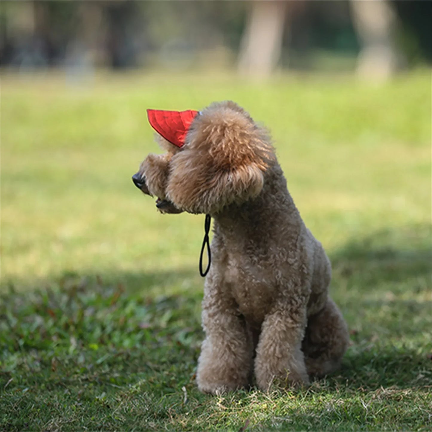 Adjustable Pet Dog Baseball Cap with Ear Holes for Small Medium Dogs Summer Dog Sun Hat Outdoor Hiking Pet Products-World Bazaar Life