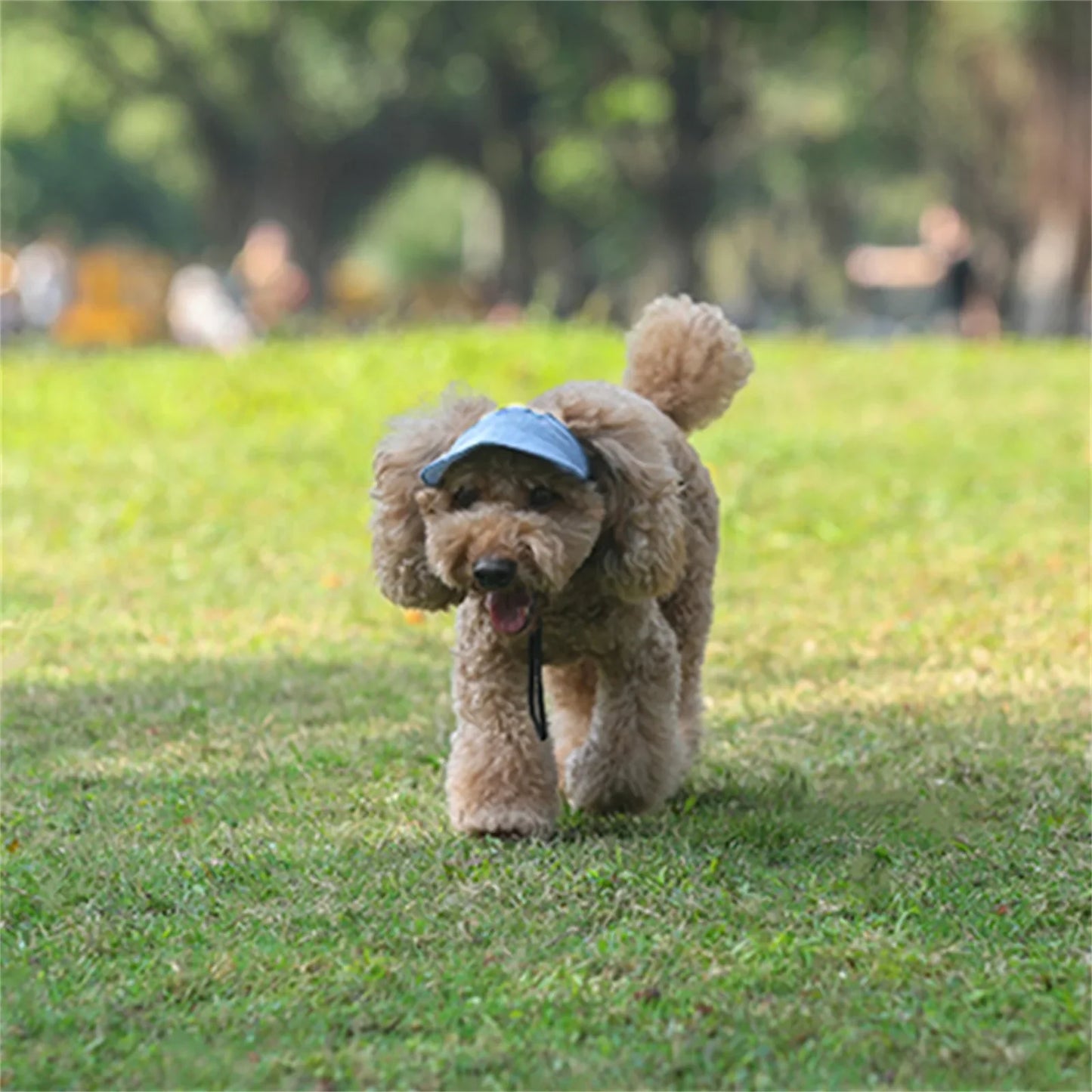 Adjustable Pet Dog Baseball Cap with Ear Holes for Small Medium Dogs Summer Dog Sun Hat Outdoor Hiking Pet Products-World Bazaar Life