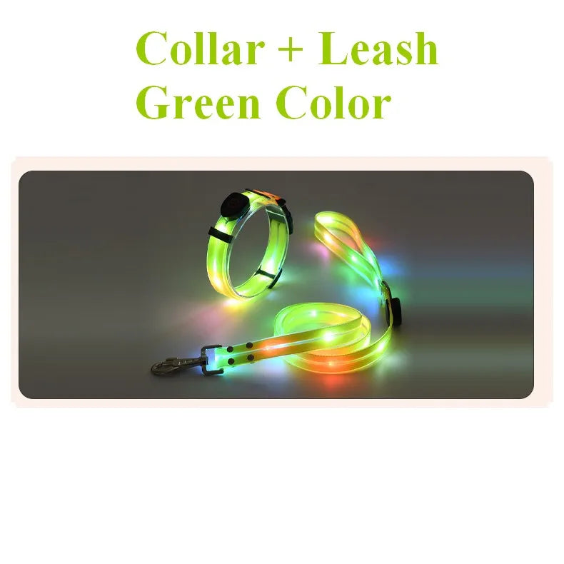 Pet Dog LED Light UP Leash USB Rechargeable PVC With Webbing Glowing Pet Leash Light Up Puppy Dog Night Walking No Collar-World Bazaar Life