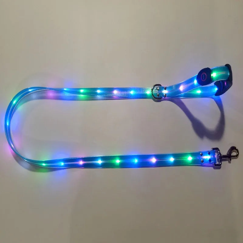 Pet Dog LED Light UP Leash USB Rechargeable PVC With Webbing Glowing Pet Leash Light Up Puppy Dog Night Walking No Collar-World Bazaar Life