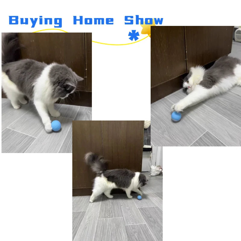 Cat Interactive Ball Smart Pet Cat Toys Indoor Automatic Rolling Magic Ball Electronic Interactive Cat Toy Cat Game Accessories-World Bazaar Life