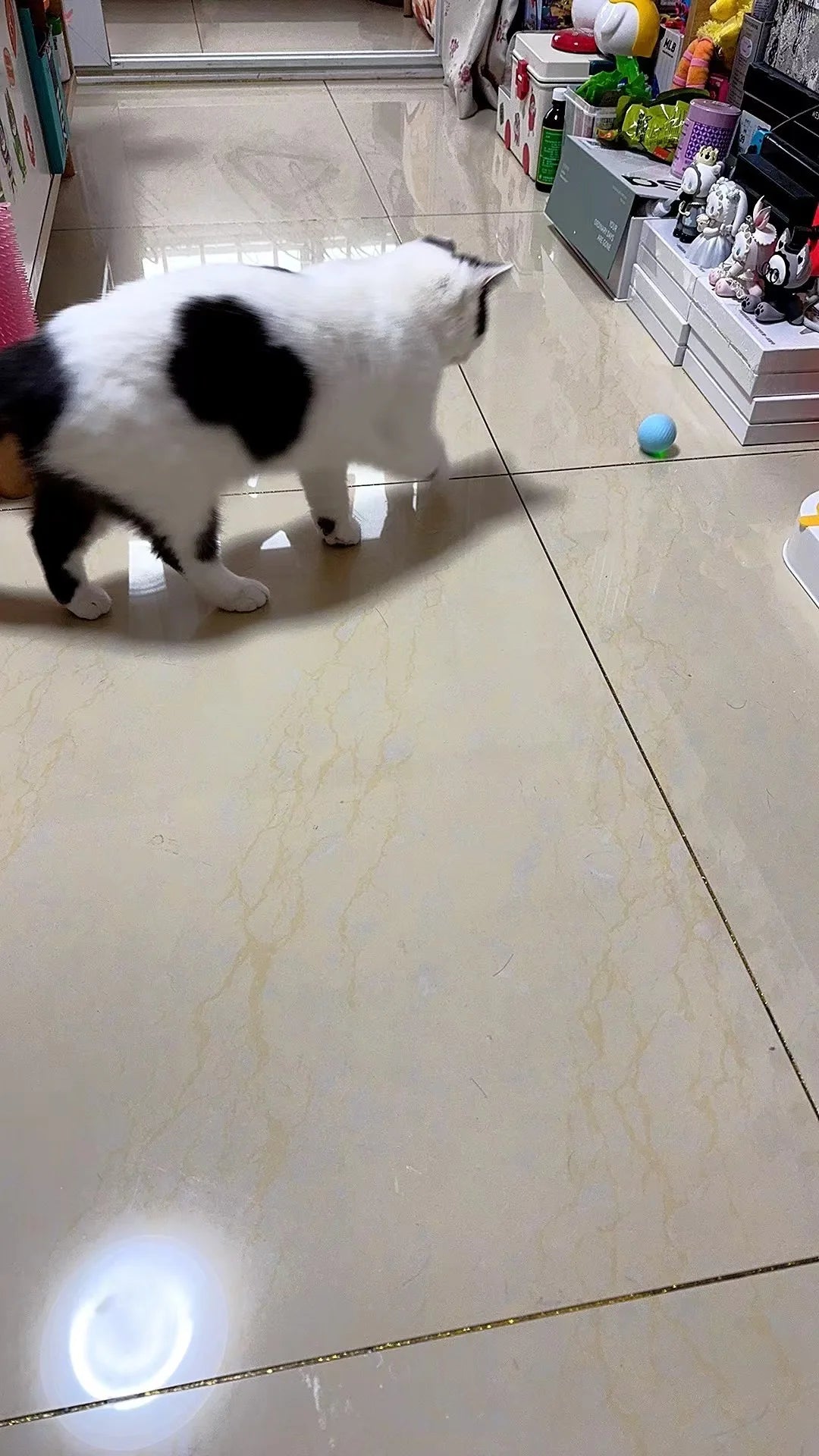 Cat Interactive Ball Smart Pet Cat Toys Indoor Automatic Rolling Magic Ball Electronic Interactive Cat Toy Cat Game Accessories-World Bazaar Life