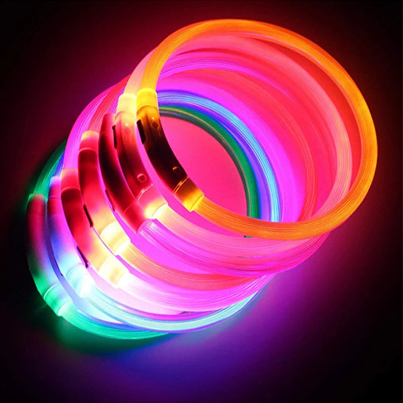 LED Glow USB Dog Collar – Adjustable & Rechargeable Safety Light for Pets