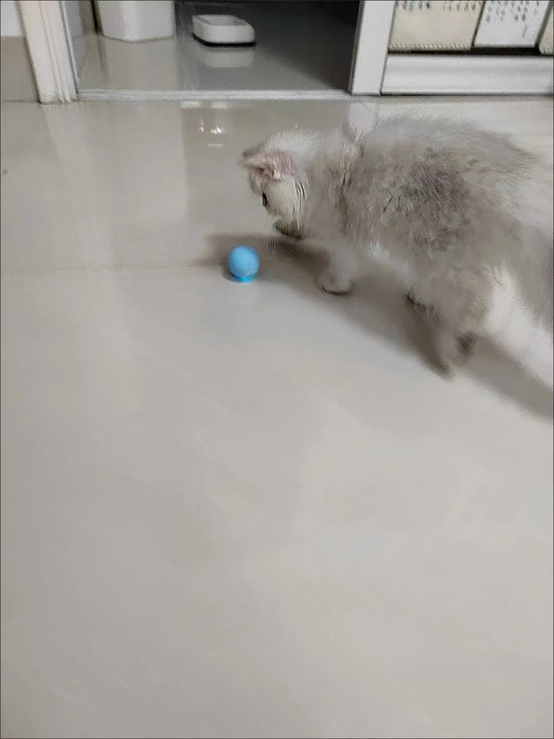 Cat Interactive Ball Smart Pet Cat Toys Indoor Automatic Rolling Magic Ball Electronic Interactive Cat Toy Cat Game Accessories-World Bazaar Life