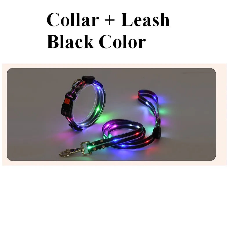 Pet Dog LED Light UP Leash USB Rechargeable PVC With Webbing Glowing Pet Leash Light Up Puppy Dog Night Walking No Collar-World Bazaar Life