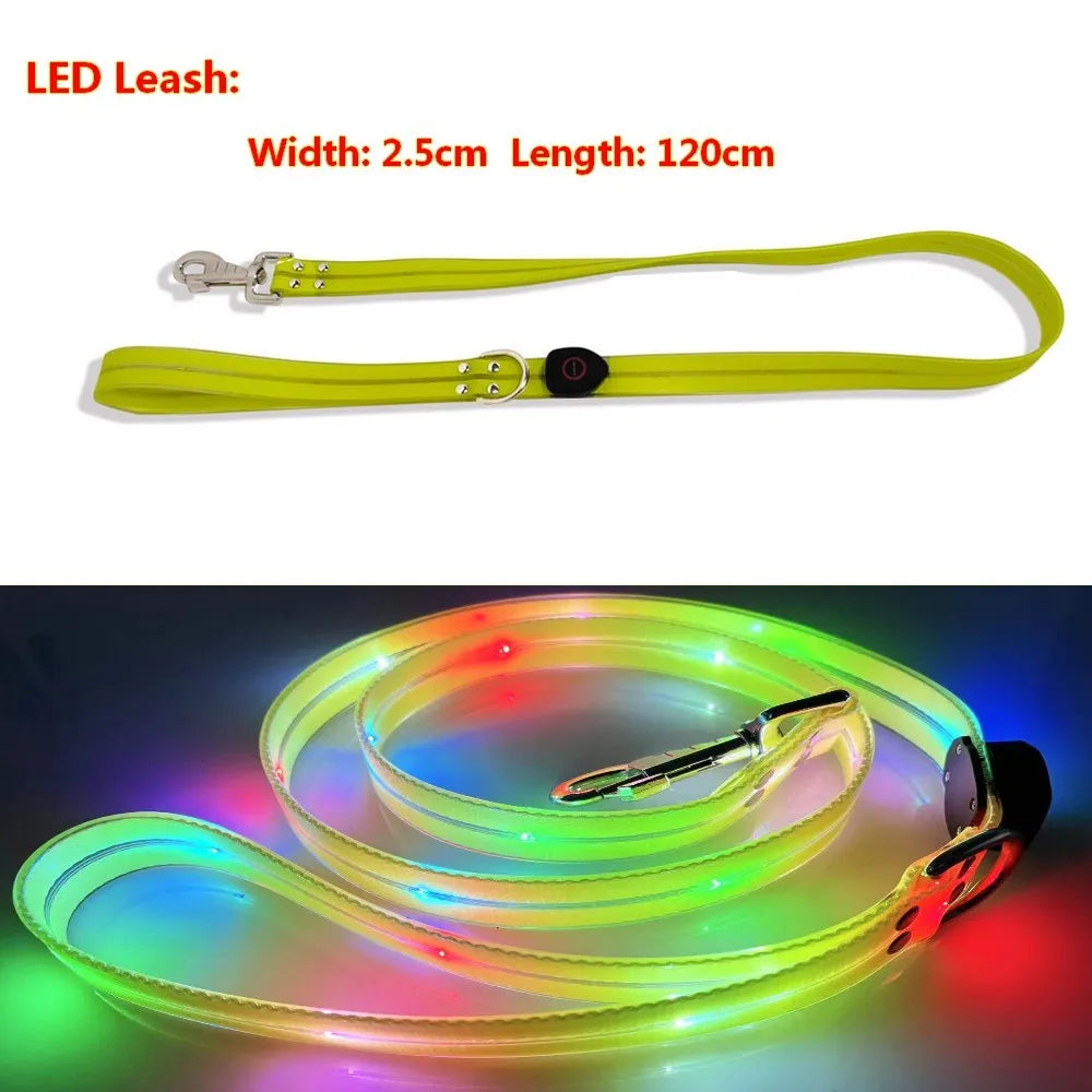 Pet Dog LED Light UP Leash USB Rechargeable PVC With Webbing Glowing Pet Leash Light Up Puppy Dog Night Walking No Collar-World Bazaar Life