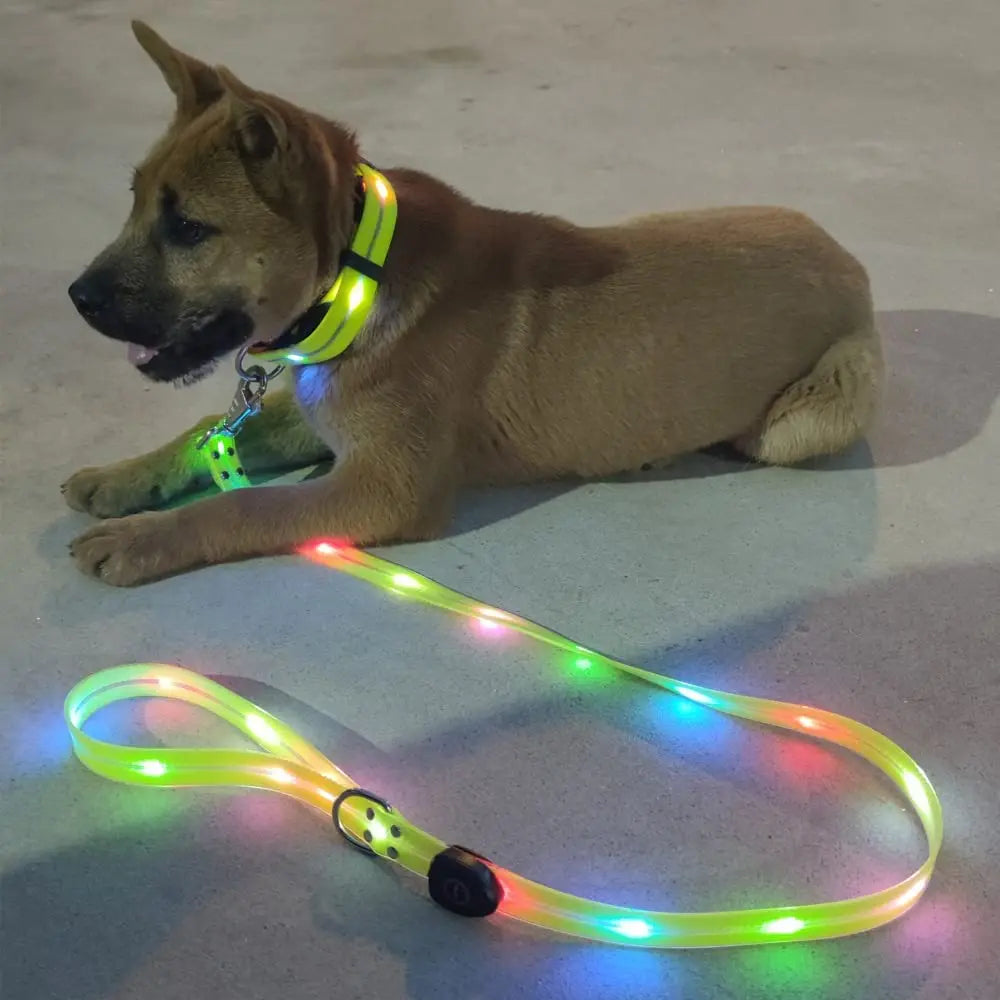 Pet Dog LED Light UP Leash USB Rechargeable PVC With Webbing Glowing Pet Leash Light Up Puppy Dog Night Walking No Collar-World Bazaar Life