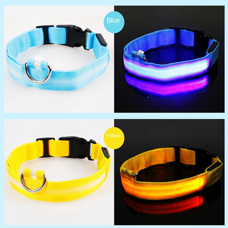 LED Glow USB Dog Collar – Adjustable & Rechargeable Safety Light for Pets