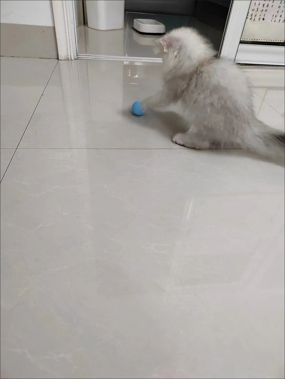 Cat Interactive Ball Smart Pet Cat Toys Indoor Automatic Rolling Magic Ball Electronic Interactive Cat Toy Cat Game Accessories-World Bazaar Life