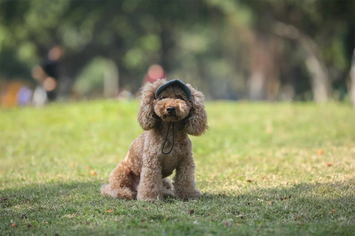 Adjustable Pet Dog Baseball Cap with Ear Holes for Small Medium Dogs Summer Dog Sun Hat Outdoor Hiking Pet Products-World Bazaar Life