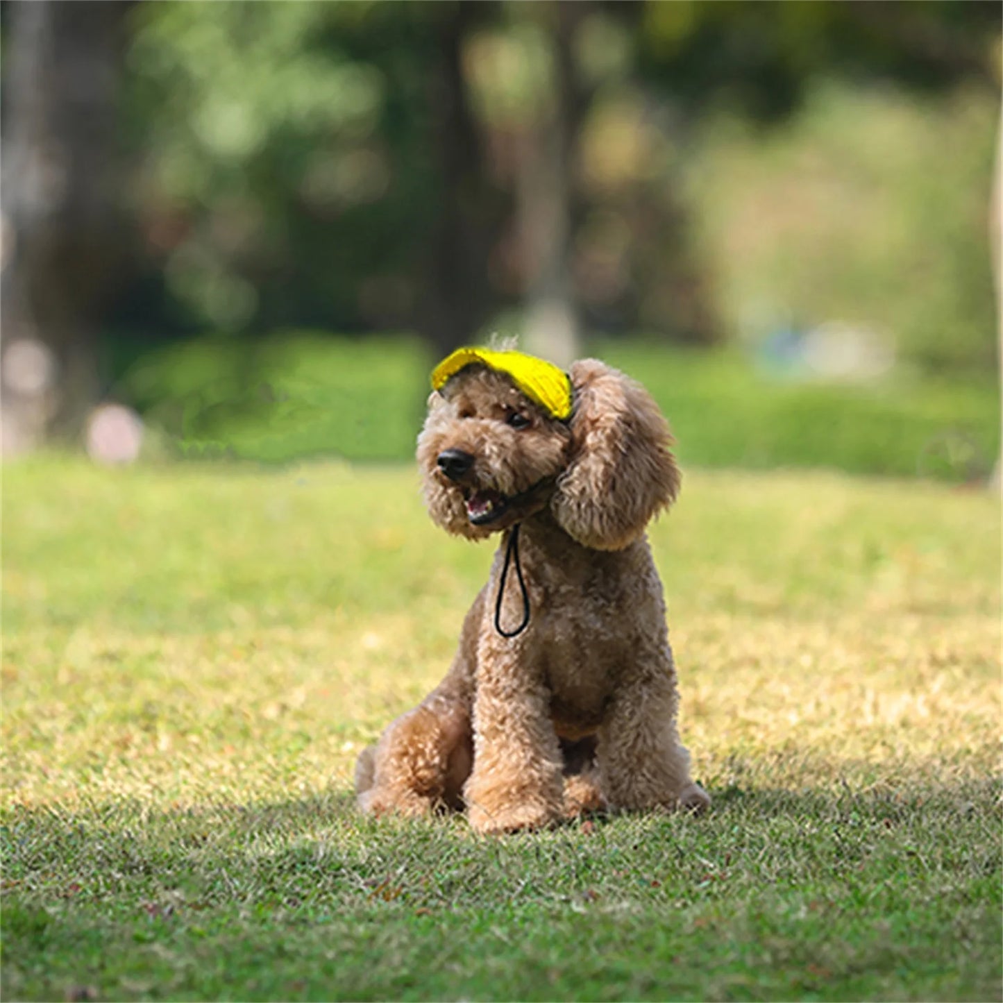 Adjustable Pet Dog Baseball Cap with Ear Holes for Small Medium Dogs Summer Dog Sun Hat Outdoor Hiking Pet Products-World Bazaar Life