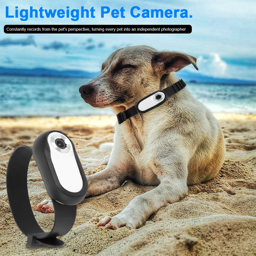 Sport Action Camera HD 1080P Wireless Collar Camera No WiFi Needed Dog Cat Pet Collar Camera Video Recorder for Indoor/Outdoor