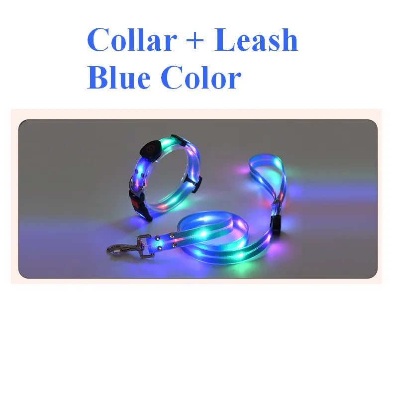Pet Dog LED Light UP Leash USB Rechargeable PVC With Webbing Glowing Pet Leash Light Up Puppy Dog Night Walking No Collar-World Bazaar Life