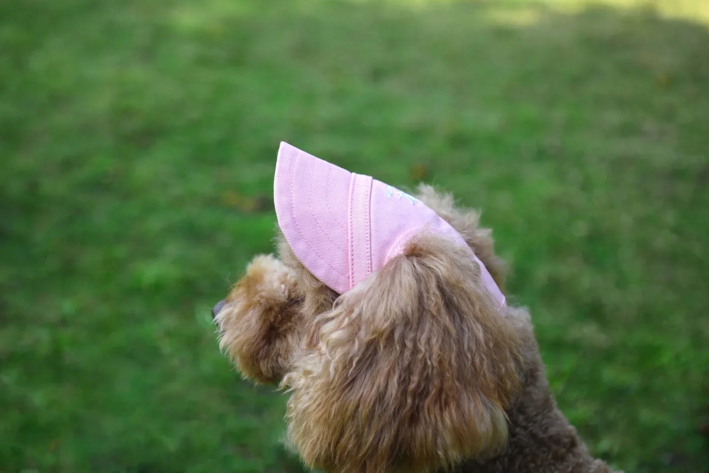 Adjustable Pet Dog Baseball Cap with Ear Holes for Small Medium Dogs Summer Dog Sun Hat Outdoor Hiking Pet Products-World Bazaar Life