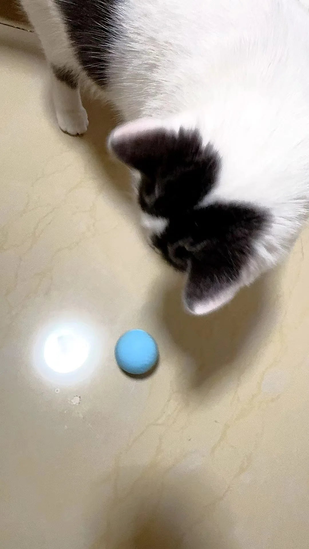 Cat Interactive Ball Smart Pet Cat Toys Indoor Automatic Rolling Magic Ball Electronic Interactive Cat Toy Cat Game Accessories-World Bazaar Life