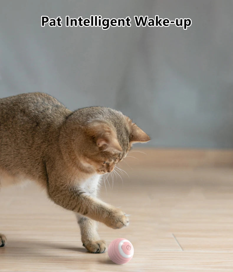 Cat Interactive Ball Smart Pet Cat Toys Indoor Automatic Rolling Magic Ball Electronic Interactive Cat Toy Cat Game Accessories-World Bazaar Life