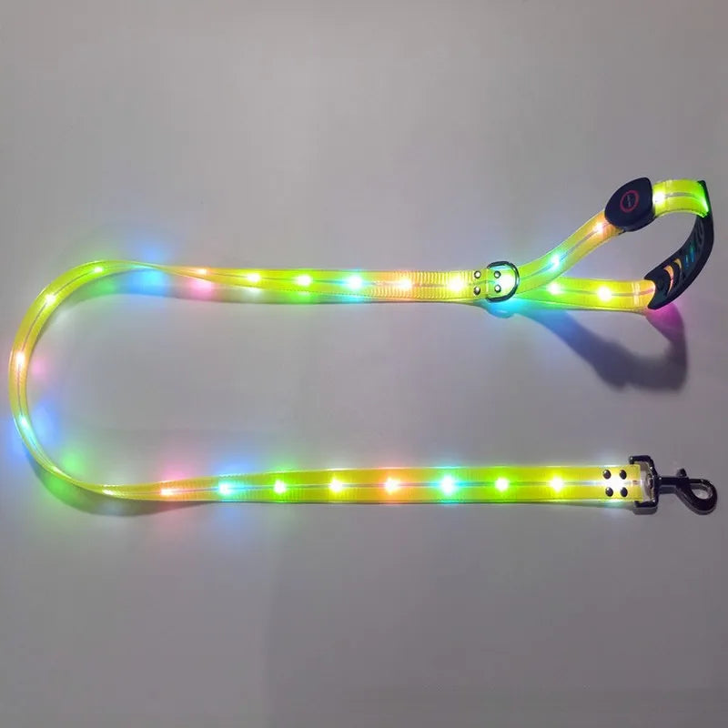 Pet Dog LED Light UP Leash USB Rechargeable PVC With Webbing Glowing Pet Leash Light Up Puppy Dog Night Walking No Collar-World Bazaar Life