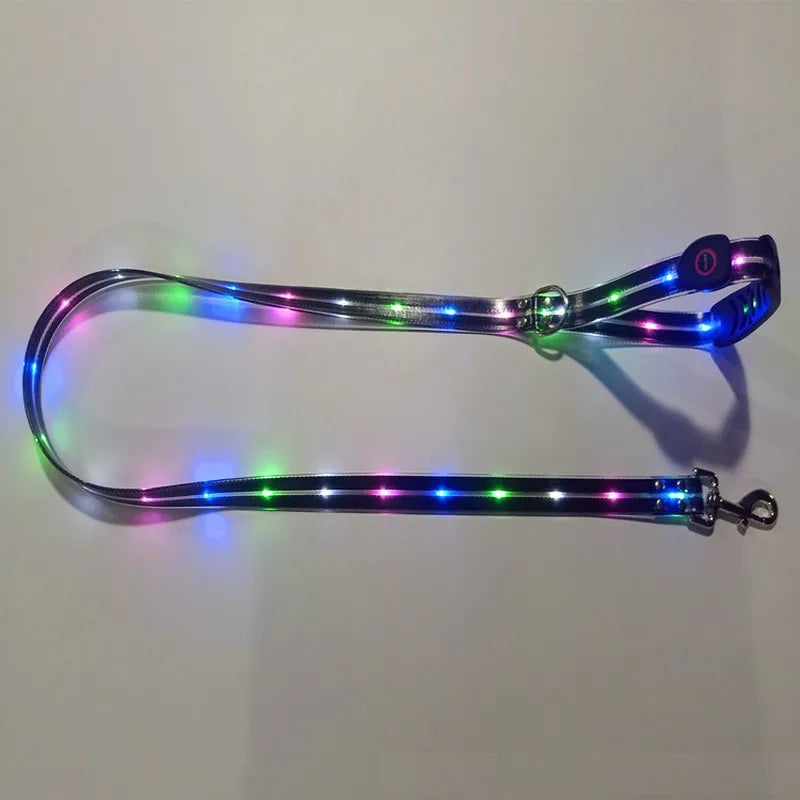 Pet Dog LED Light UP Leash USB Rechargeable PVC With Webbing Glowing Pet Leash Light Up Puppy Dog Night Walking No Collar-World Bazaar Life