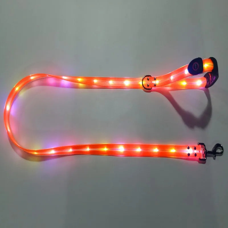 Pet Dog LED Light UP Leash USB Rechargeable PVC With Webbing Glowing Pet Leash Light Up Puppy Dog Night Walking No Collar-World Bazaar Life