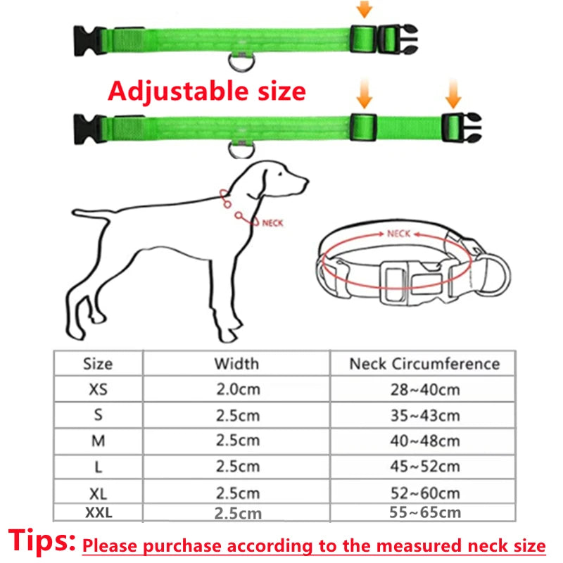 LED Glow USB Dog Collar – Adjustable & Rechargeable Safety Light for Pets.