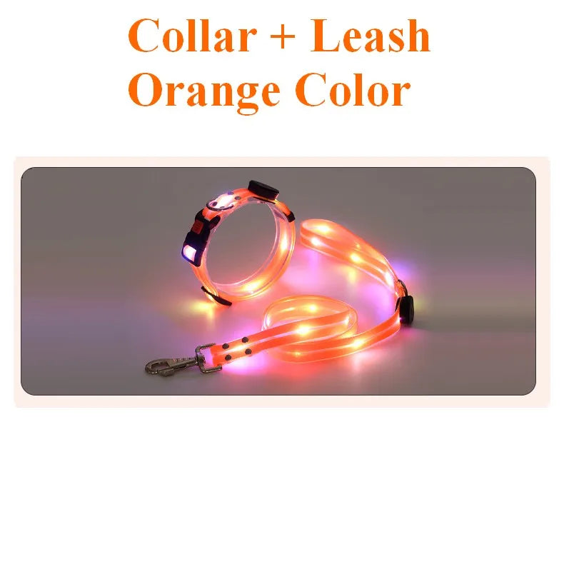 Pet Dog LED Light UP Leash USB Rechargeable PVC With Webbing Glowing Pet Leash Light Up Puppy Dog Night Walking No Collar-World Bazaar Life