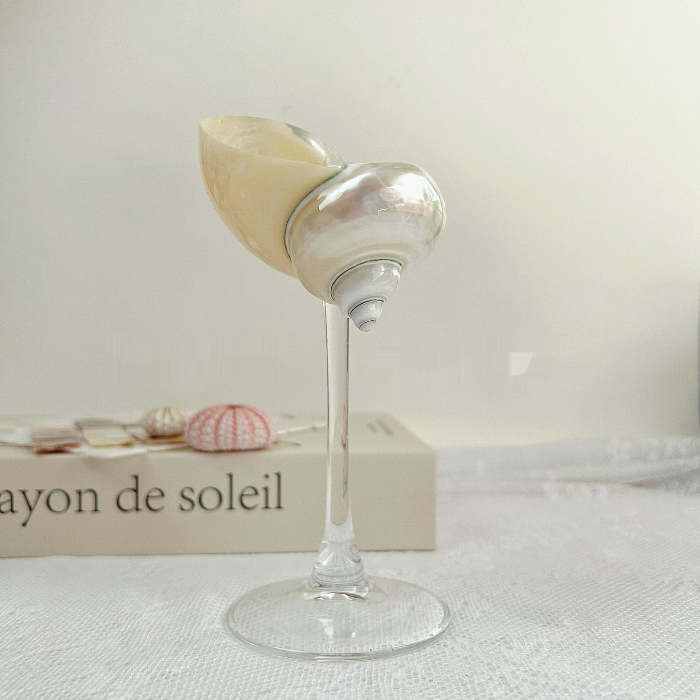 Ins Handmade Shell Conch Wine Glass Aromatherapy Dish-World Bazaar Life