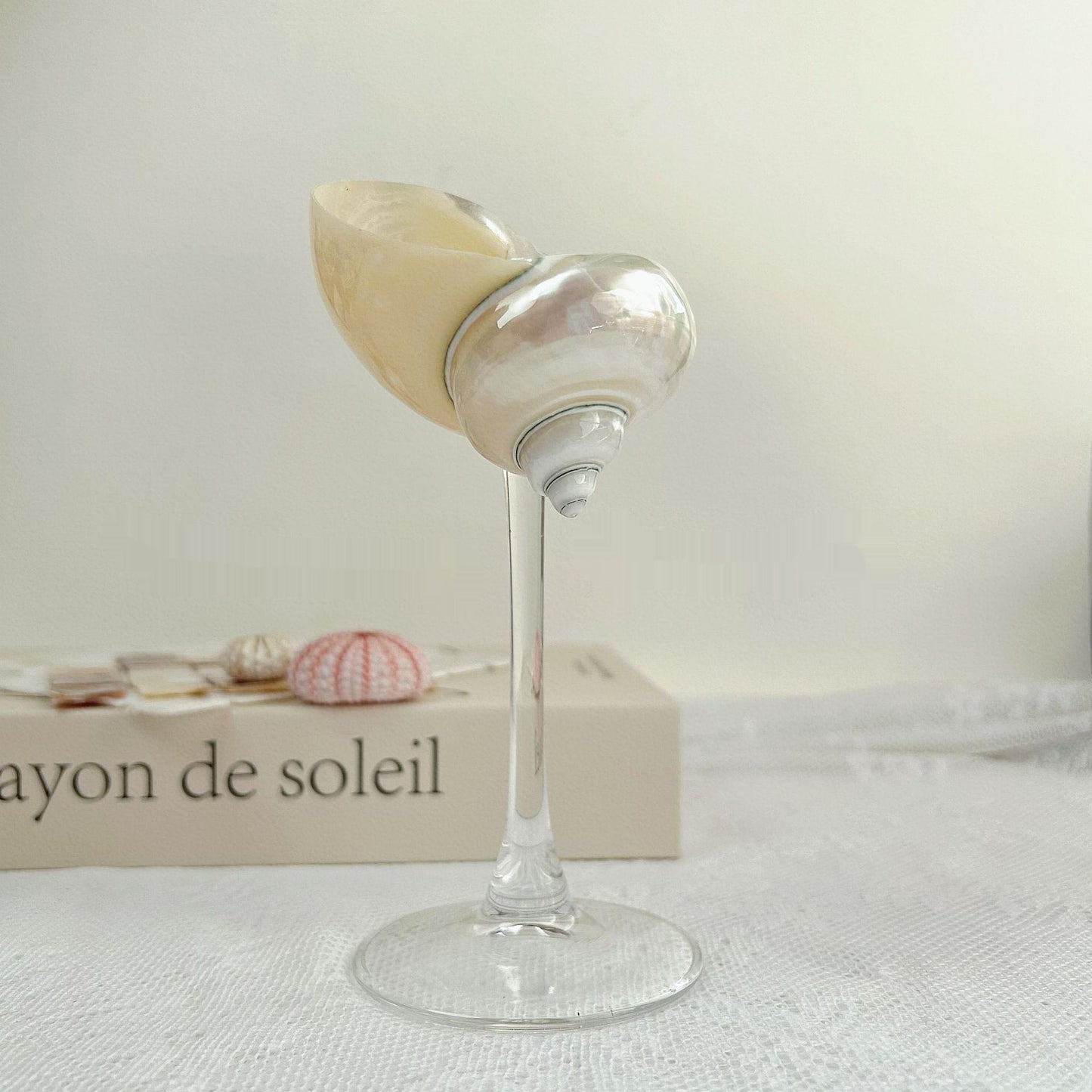Ins Handmade Shell Conch Wine Glass Aromatherapy Dish-World Bazaar Life