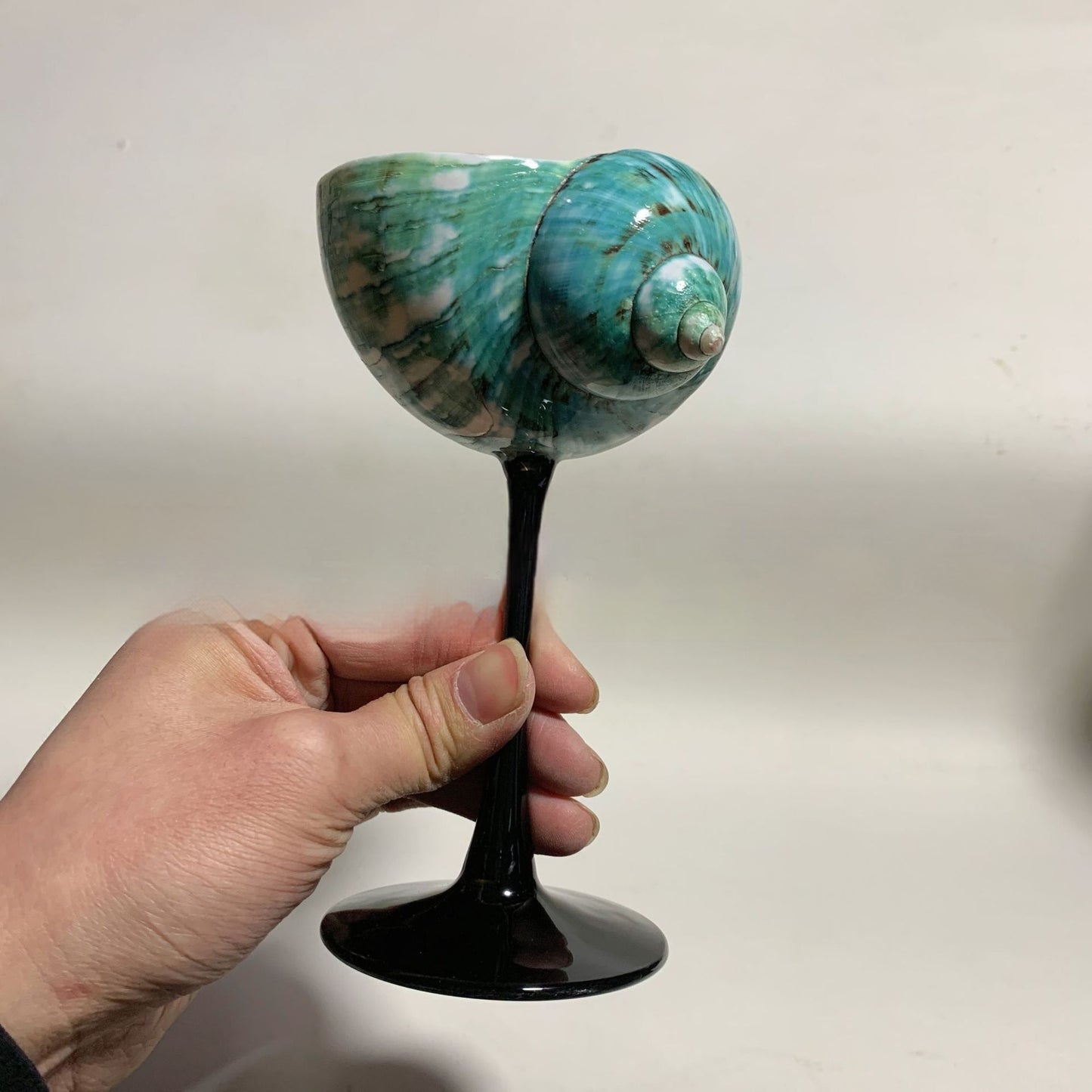 Ins Handmade Shell Conch Wine Glass Aromatherapy Dish-World Bazaar Life