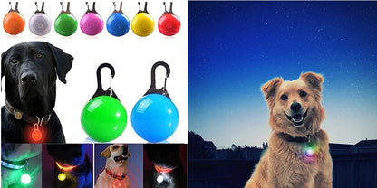 LED Glow USB Dog Collar – Adjustable & Rechargeable Safety Light for Pets