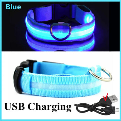 LED Glow USB Dog Collar – Adjustable & Rechargeable Safety Light for Pets