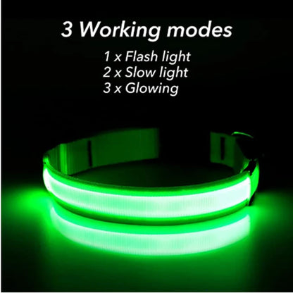 LED Glow USB Dog Collar – Adjustable & Rechargeable Safety Light for Pets