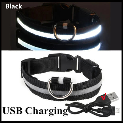 LED Glow USB Dog Collar – Adjustable & Rechargeable Safety Light for Pets