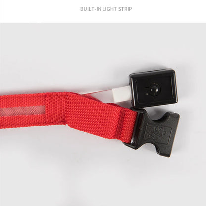 LED Glow USB Dog Collar – Adjustable & Rechargeable Safety Light for Pets