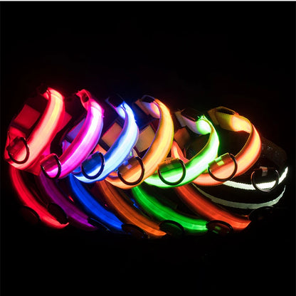 LED Glow USB Dog Collar – Adjustable & Rechargeable Safety Light for Pets
