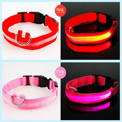 LED Glow USB Dog Collar – Adjustable & Rechargeable Safety Light for Pets